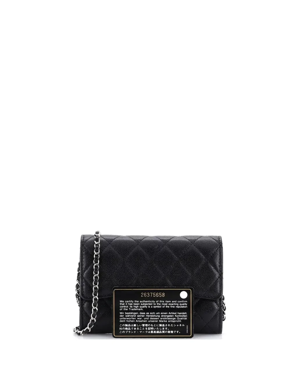 Chanel Classic Flap Wallet Crossbody #254489C32B